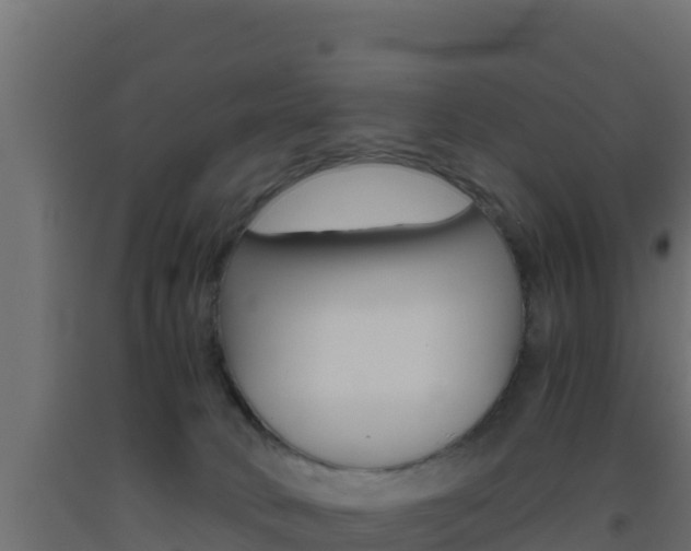X0000093510034200710121112