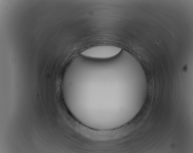 X0000093510038200710121112