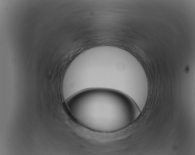 X0000093510039200710121112
