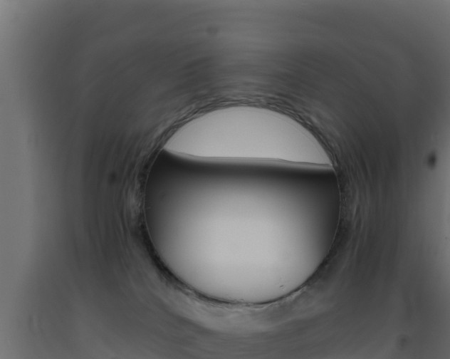 X0000093510040200710121112