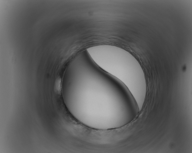 X0000093510041200710121112