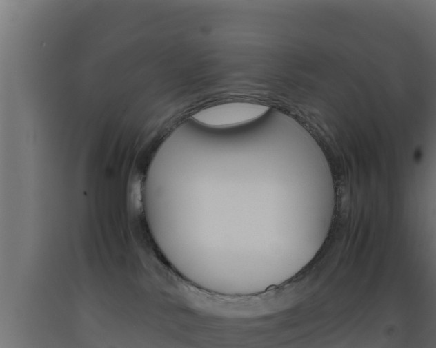 X0000093510042200710121112