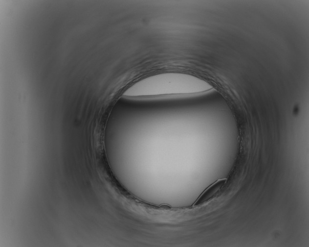 X0000093510044200710121112