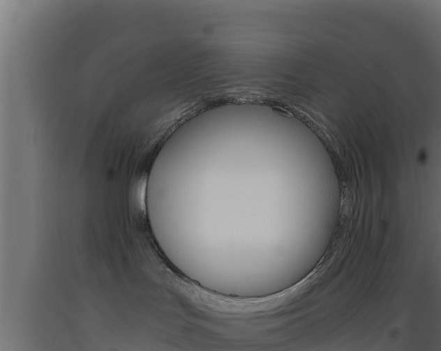 X0000093510047200710121112