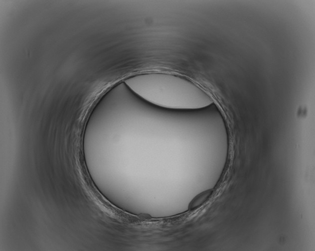 X0000093510049200710121111
