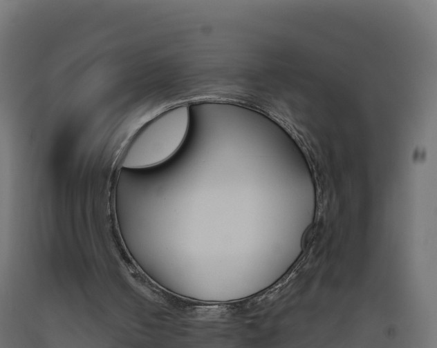 X0000093510050200710121111