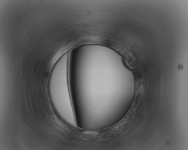 X0000093510051200710121111