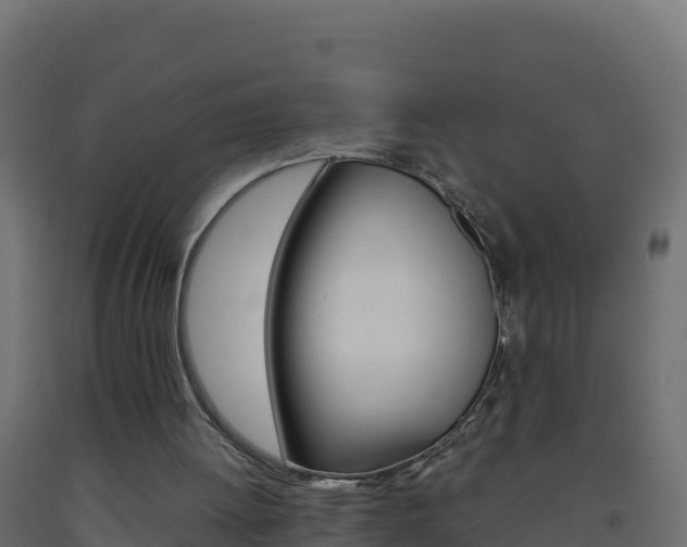 X0000093510052200710121111
