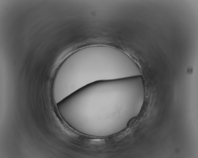 X0000093510053200710121111
