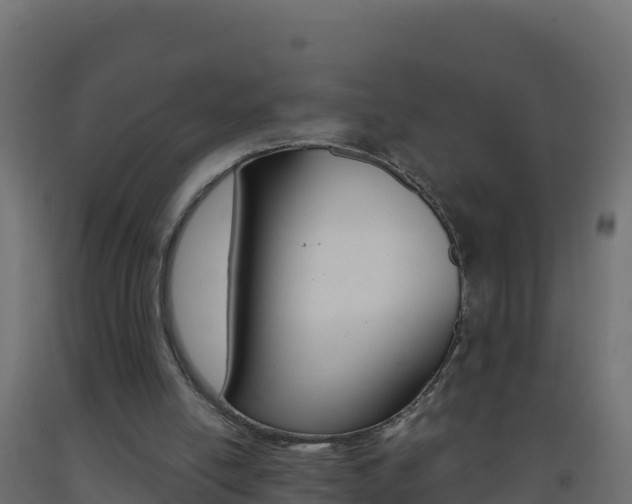 X0000093510054200710121111