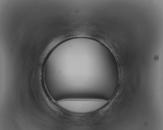 X0000093510055200710121111