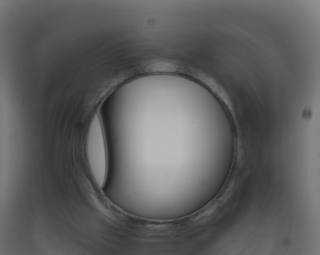 X0000093510057200710121111