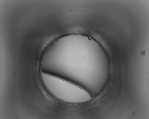 X0000093510058200710121111