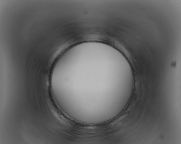 X0000093510059200710121111