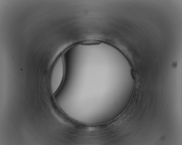 X0000093510060200710121111