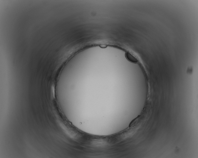 X0000093510061200710121111
