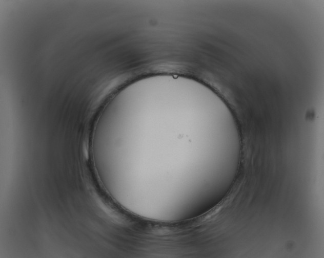 X0000093510062200710121111