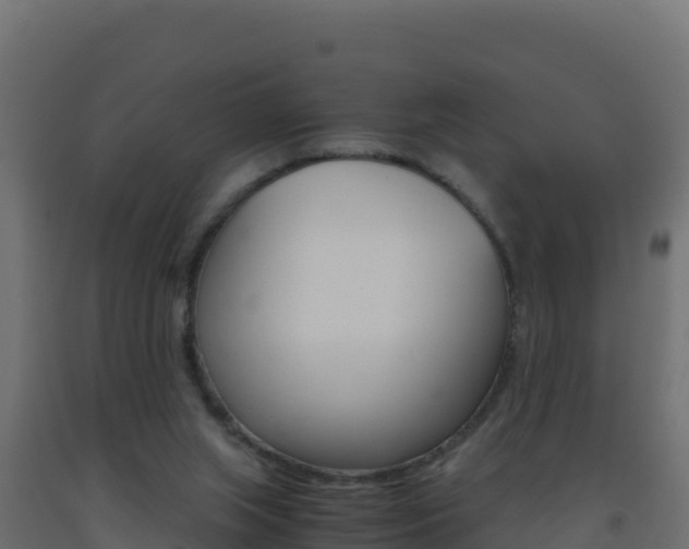 X0000093510063200710121111