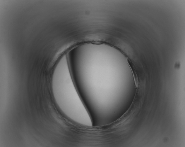 X0000093510064200710121111
