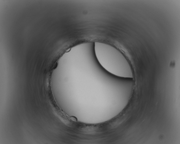 X0000093510065200710121111