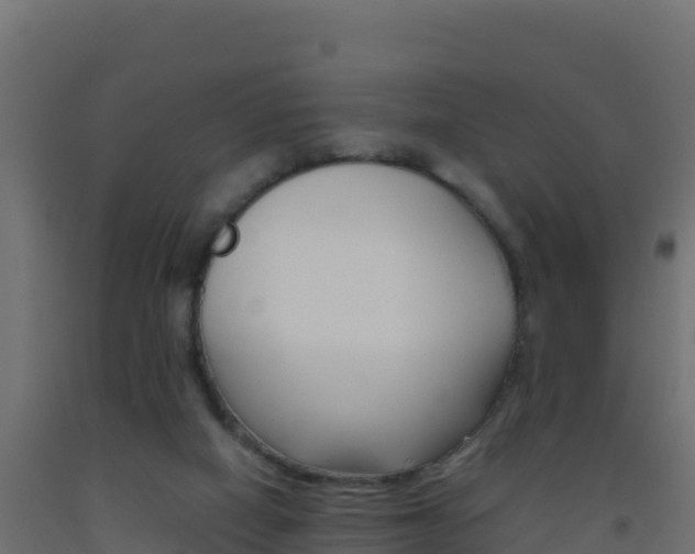 X0000093510066200710121111