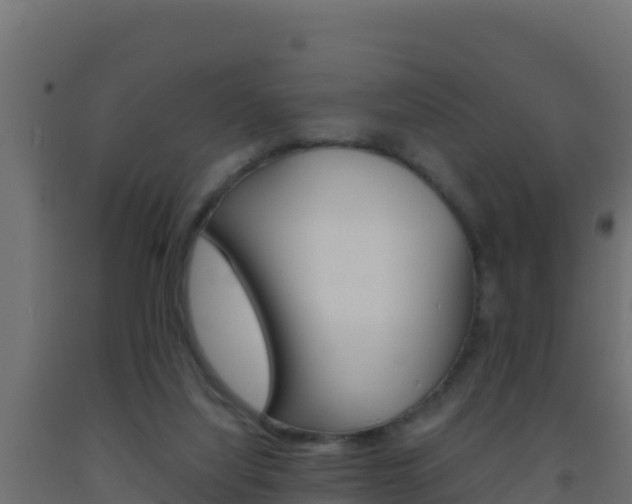 X0000093510068200710121111
