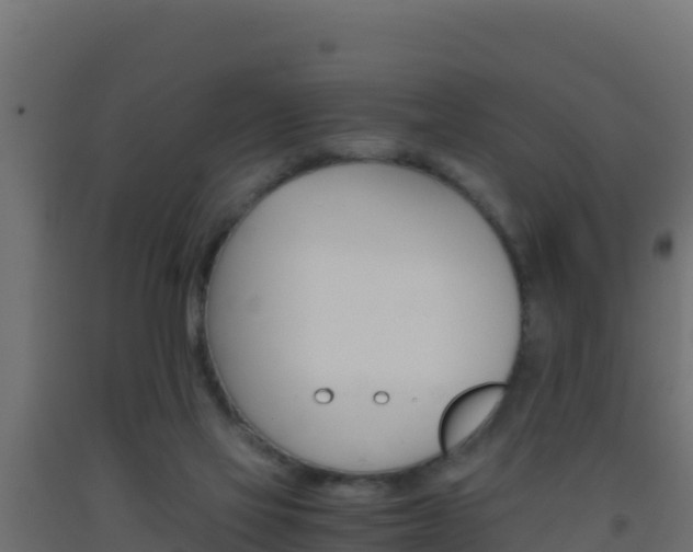 X0000093510069200710121111