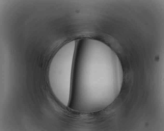 X0000093510070200710121111