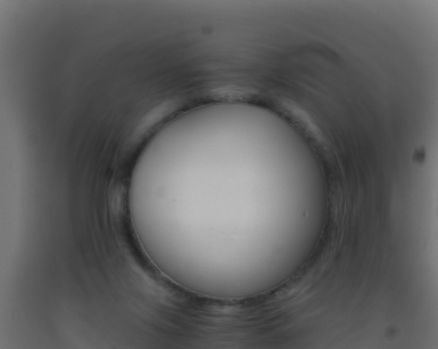 X0000093510071200710121112