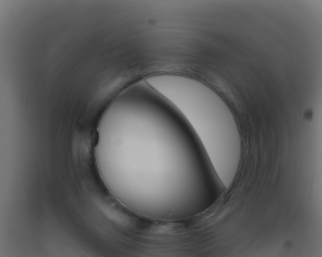 X0000093510072200710121112