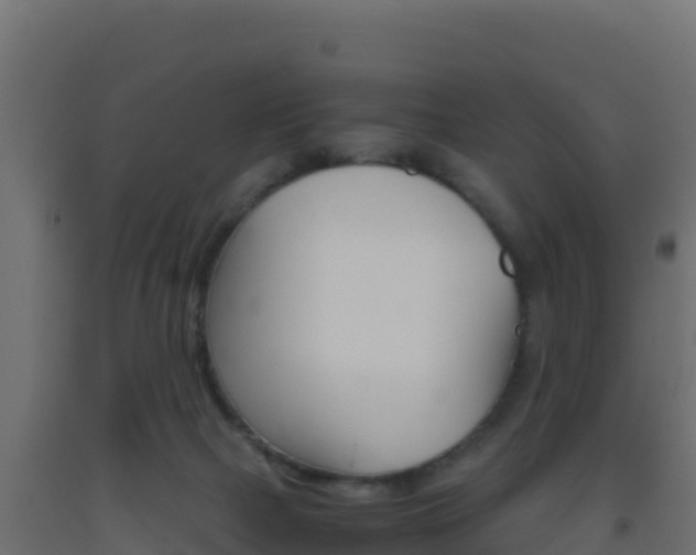 X0000093510073200710121112