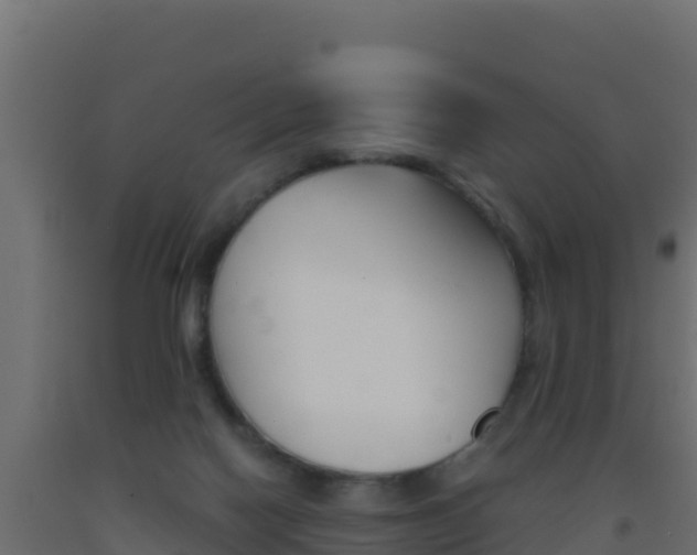 X0000093510074200710121112