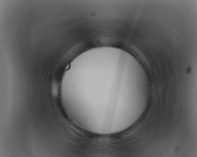 X0000093510075200710121112