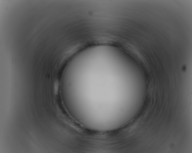 X0000093510076200710121112
