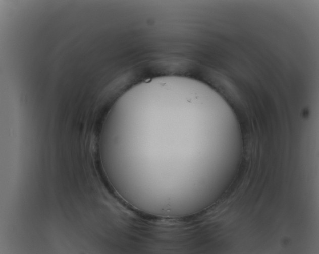 X0000093510077200710121112