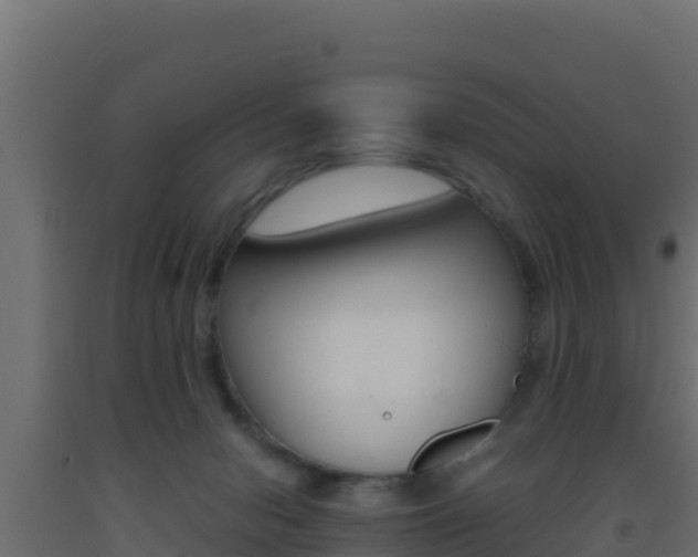 X0000093510078200710121112