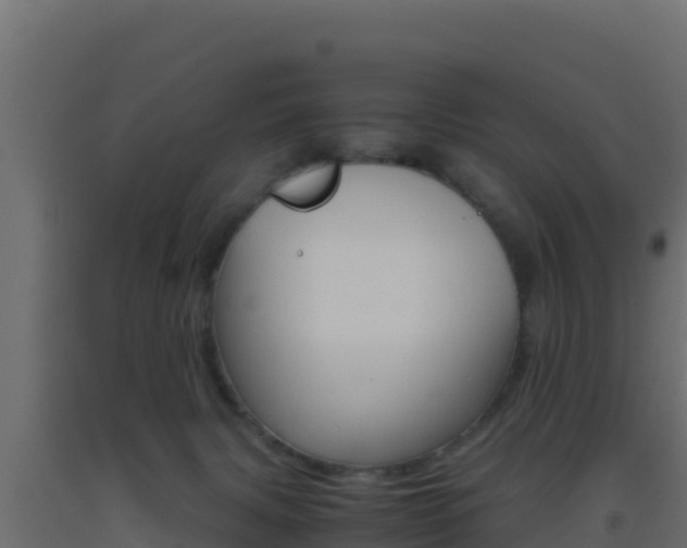 X0000093510079200710121112