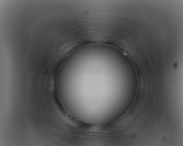 X0000093510080200710121112