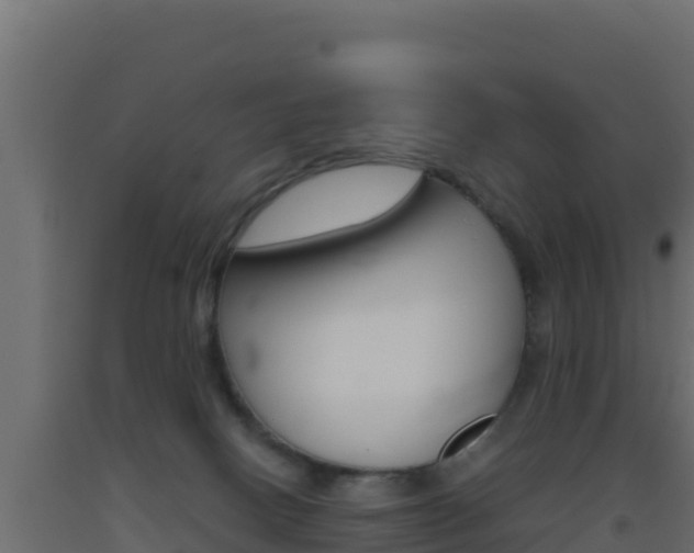 X0000093510082200710121112