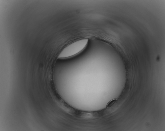 X0000093510083200710121112