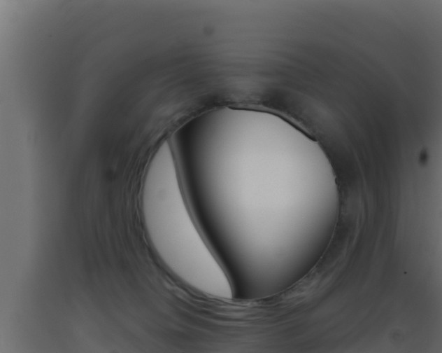X0000093510084200710121112