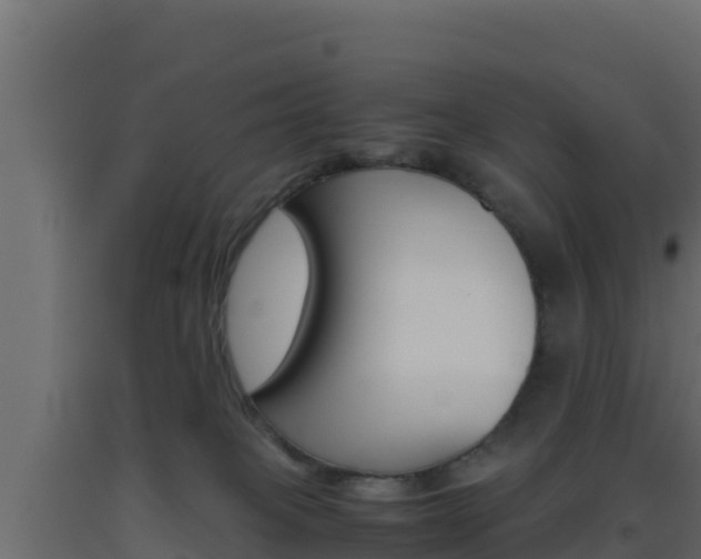 X0000093510085200710121112
