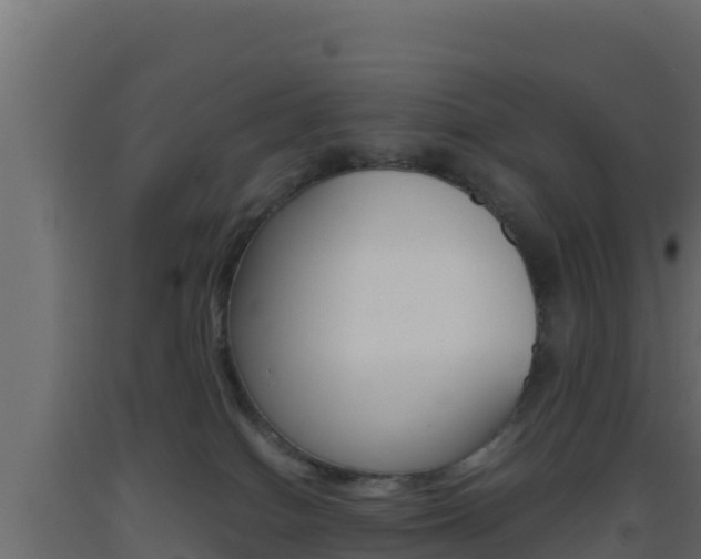 X0000093510086200710121112