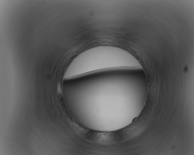 X0000093510089200710121112