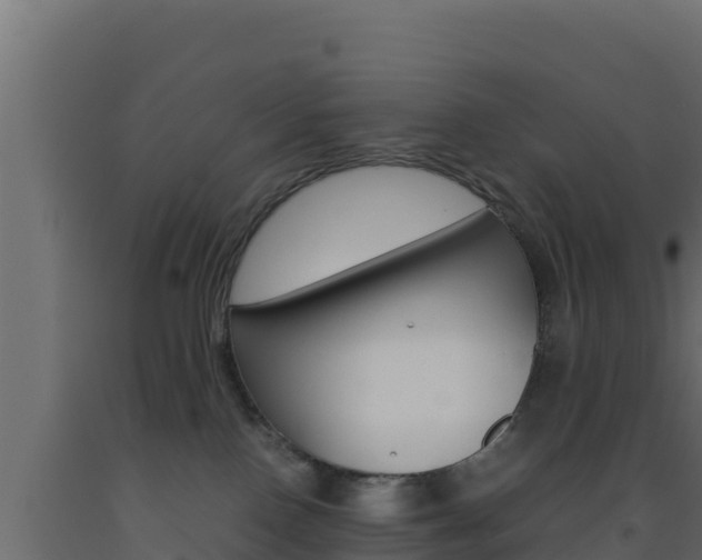 X0000093510090200710121112