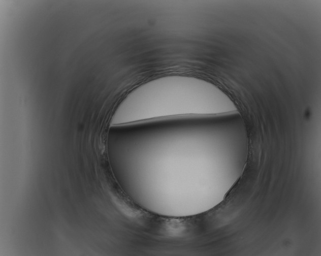 X0000093510091200710121112