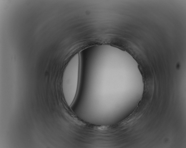 X0000093510092200710121112