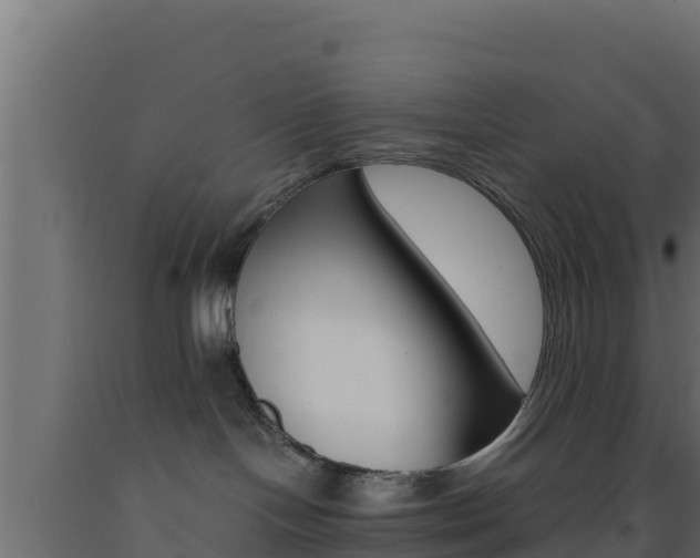 X0000093510094200710121112