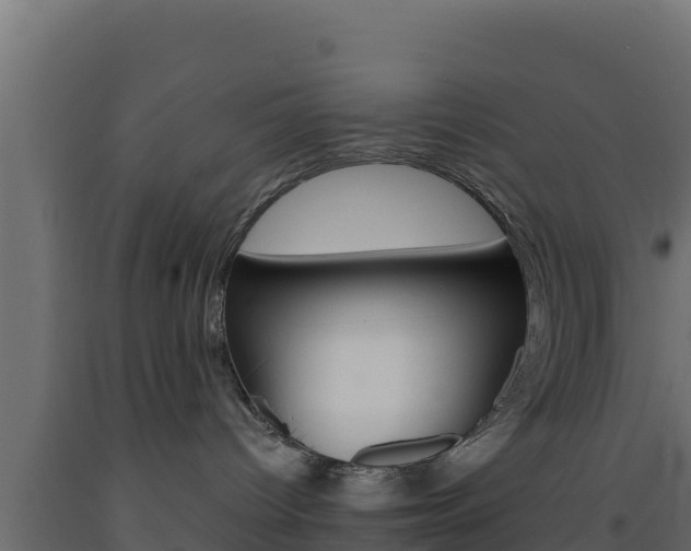 X0000093510096200710121112