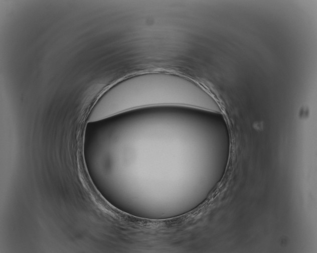 X0000093510097200710121111